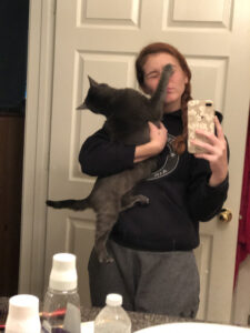 cat-selfie-fail21