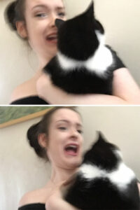 cats-hate-selfies-251-5991620cc9b1b__605