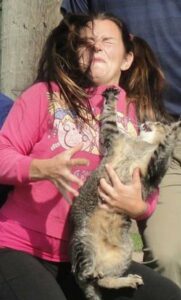 cats-hatepics-10